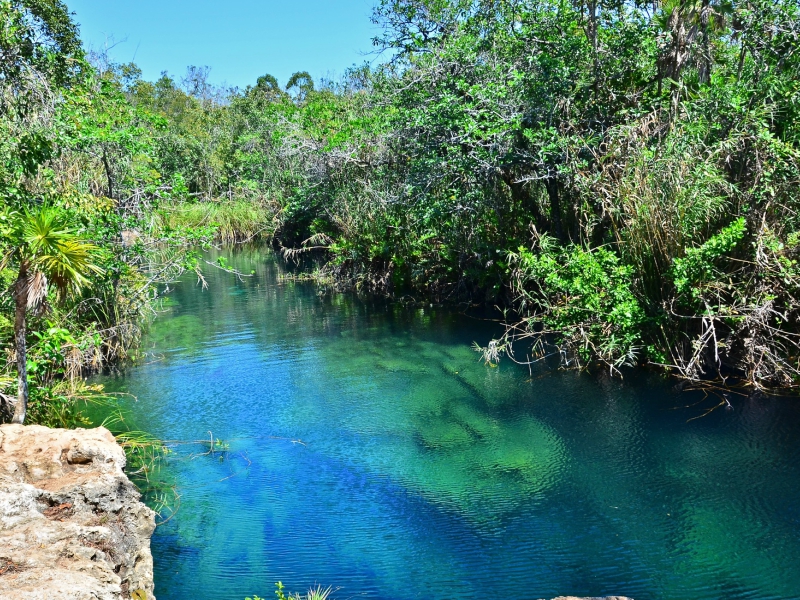cenotes Playa del carmen cenote escondido