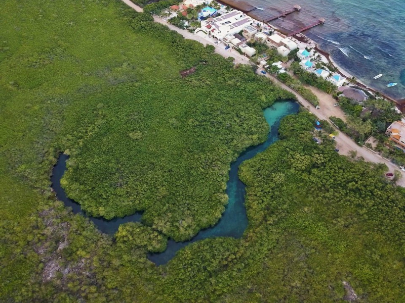 cenote playa del carmen cenote manatí